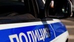 В Тальменском районе сотрудники уголовного розыска раскрыли кражу кроликов калифорнийской породы